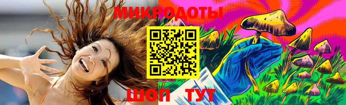 Псилоцибиновые грибы Psilocybe  Вход с VPN  Щёлково  Псилоцибиновые грибы Cubensis 